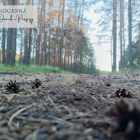Domek W Puszczy ,,Kocanka" Mezyk Extérieur photo