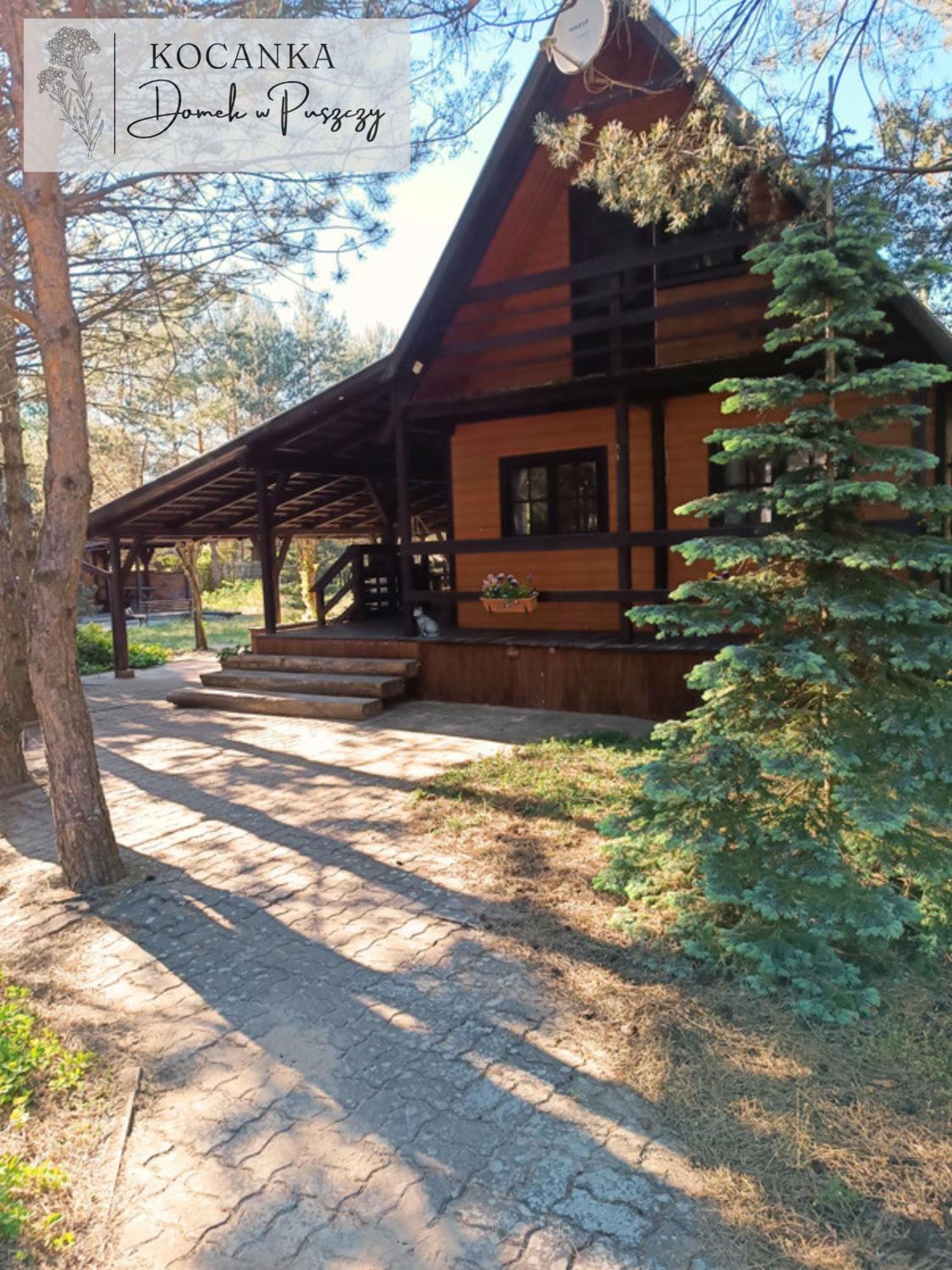 Domek W Puszczy ,,Kocanka" Mezyk Extérieur photo
