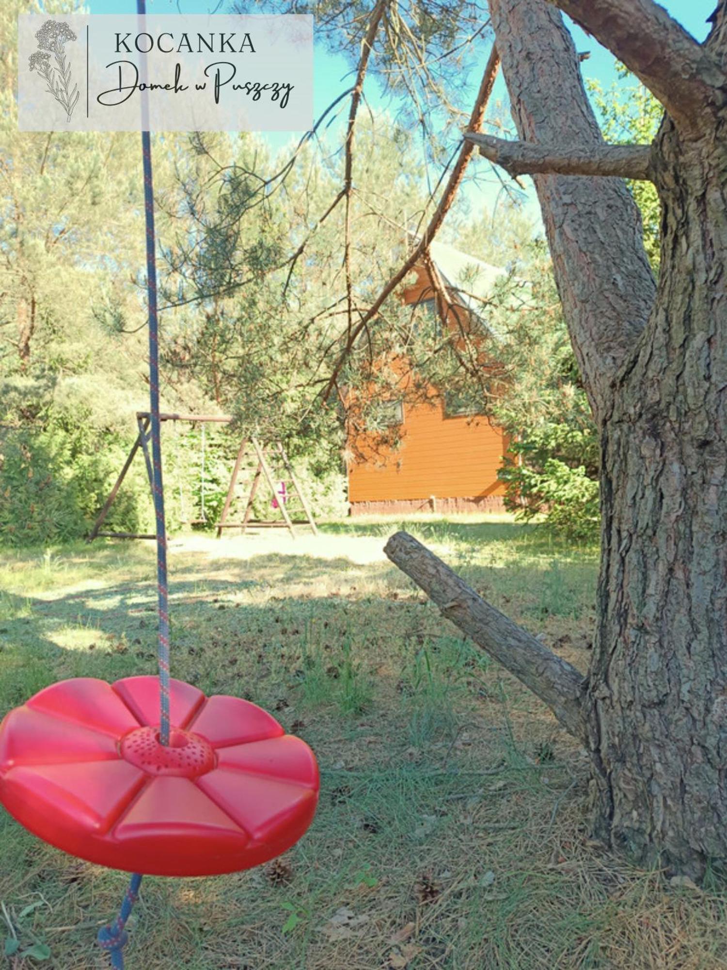 Domek W Puszczy ,,Kocanka" Mezyk Extérieur photo